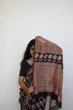 Ambika - Bagru Natural Dyes Handblock Printed - Chanderi Silk Saree